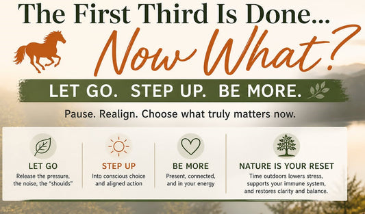 The First Third Is Done… Now What?
